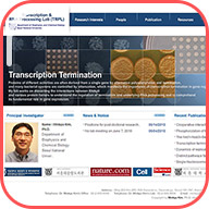 연구관련 사이트